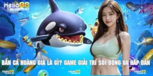 Bắn Cá Hoàng Gia Là Gì? Game Giải Trí Sôi Động 2025