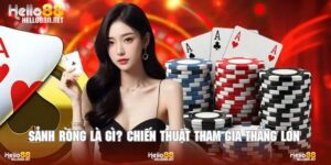 Sảnh Rồng Là Gì? Chiến Thuật Tham Gia Trúng Lớn Thưởng Cao